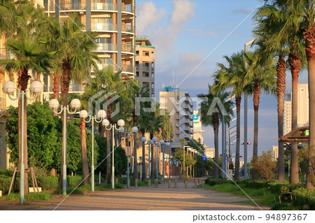 Urayasu palm tree landscape 94897367