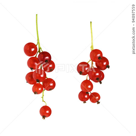 Set of red current berries isolated 94897559