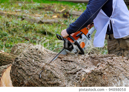 In a hurricane storm, the worker has a chainsaw and he is chainsawing trees that are falling on the asphalt In a hurricane storm, the worker has a chainsaw and he is chainsawing trees that are falling on the asphalt 94898058