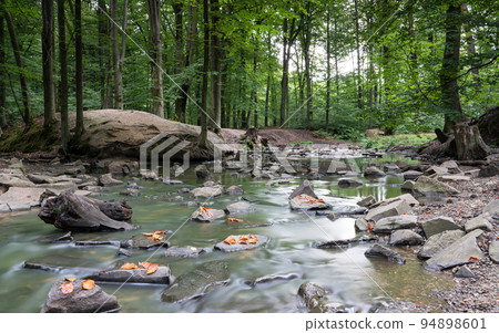 Creek during autumn season, Bergisches Land, Germany Creek during autumn season, Bergisches Land, Germany 94898601
