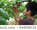 Boy peach picking fun happy peach fruit elementary school student smile 94898638