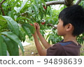 Boy peach picking fun happy peach fruit elementary school student smile 94898639