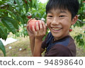 Boy peach picking fun happy peach fruit elementary school student smile 94898640