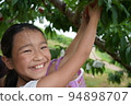 Girl peach picking fun smiling orchard elementary school student peach 94898707
