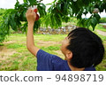 Elementary school boy Peach picking Orchard Fruit picking Fun Smile 94898719