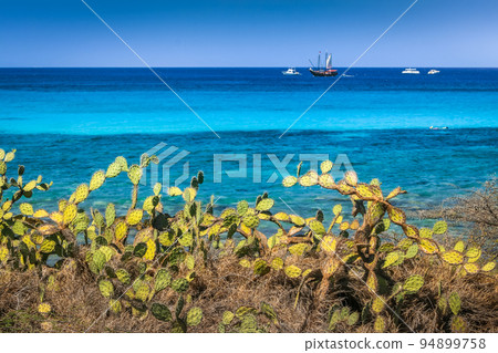 Aruba idyllic caribbean beach at sunny day, Dutch Antilles, Caribbean Sea Aruba idyllic caribbean beach at sunny day, Dutch Antilles, Caribbean Sea 94899758