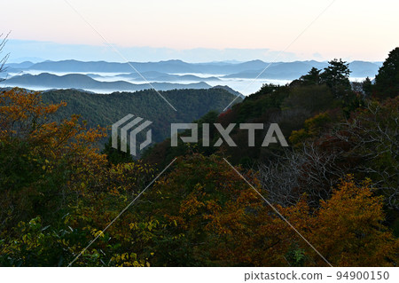 塔基山秋葉 塔基山秋葉 94900150