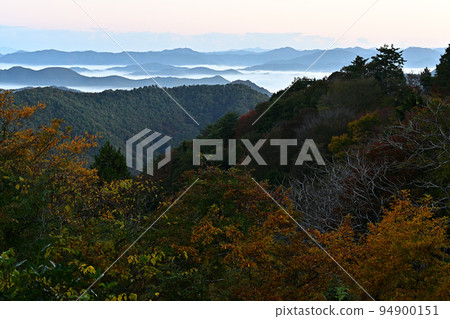 塔基山秋葉 塔基山秋葉 94900151
