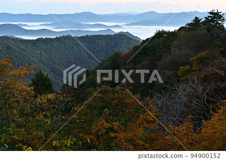 塔基山秋葉 94900152
