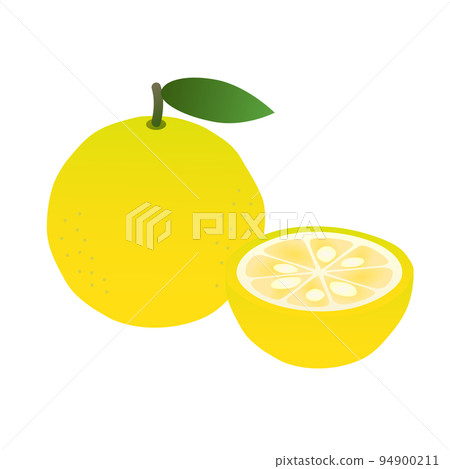 簡單的柚子插畫(有漸變) 簡單的柚子插畫(有漸變) 94900211