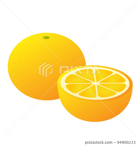 葡萄柚插圖(帶漸變) 葡萄柚插圖(帶漸變) 94900213