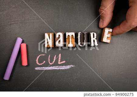Nature and Culture concept. Wooden blocks on a dark chalkboard 94900275