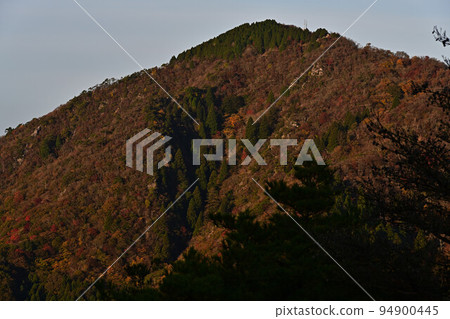 Autumn leaves of Taki mountain Autumn leaves of Taki mountain 94900445