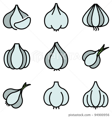 Garlic icons set. Outline set of garlic vector icons thin line color flat on white Garlic icons set. Outline set of garlic vector icons thin line color flat on white 94900956