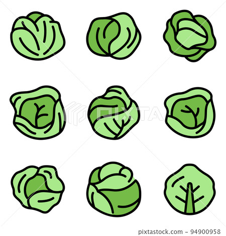 Cabbage icons set. Outline set of cabbage vector icons thin line color flat on white Cabbage icons set. Outline set of cabbage vector icons thin line color flat on white 94900958