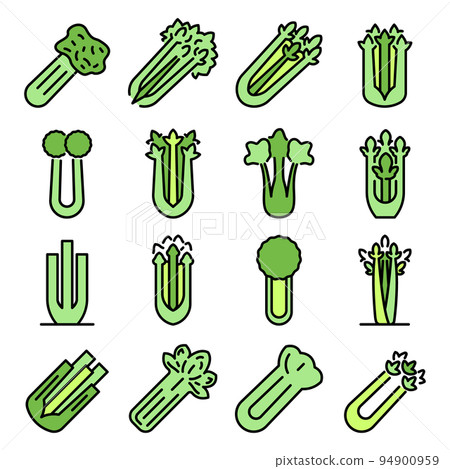 Celery icons set. Outline set of celery vector icons thin line color flat on white Celery icons set. Outline set of celery vector icons thin line color flat on white 94900959