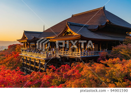 Autumn in Higashiyama, Kyoto World Heritage Kiyomizu-dera Temple Twilight Stage and Autumn Leaves Autumn in Higashiyama, Kyoto World Heritage Kiyomizu-dera Temple Twilight Stage and Autumn Leaves 94901590