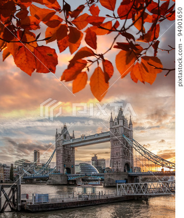 Tower Bridge with autumn leaves in London, England, UK Tower Bridge with autumn leaves in London, England, UK 94901650