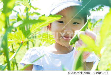 Cute kid harvesting vegetables in the field 94903084