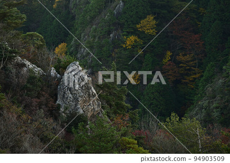 Autumn leaves of Taki mountain Autumn leaves of Taki mountain 94903509