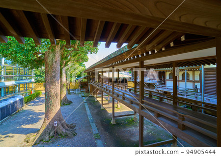從東京葛飾區柴又七丁目大釋天（大京寺）的大迴廊眺望大庭園 94905444