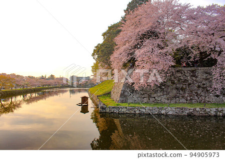 [Shiga] Hikone Castle Cherry blossoms reflected on the water surface 94905973