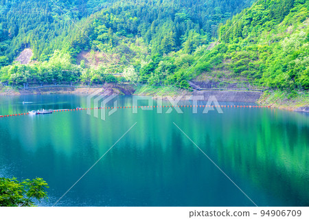秩父櫻花湖浦山水壩 清晨清新的綠色風景 94906709