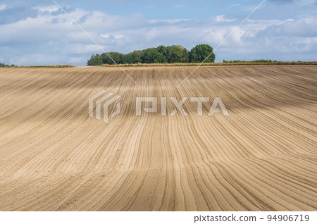 Fields maintained after harvesting (Biei, Hokkaido) 94906719