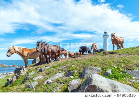 [青森縣下北aj谷矢崎]用白色燈塔和冷馬站立的風景 94906830