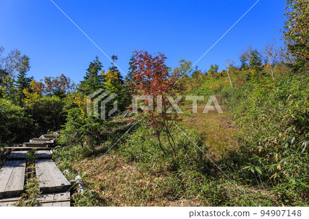 Tsugaike Nature Park in full bloom of autumn leaves Tsugaike Nature Park in full bloom of autumn leaves 94907148