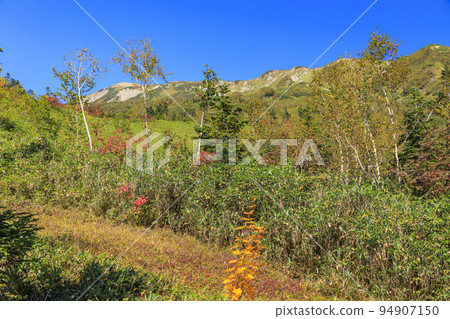 Tsugaike Nature Park in full bloom of autumn leaves Tsugaike Nature Park in full bloom of autumn leaves 94907150