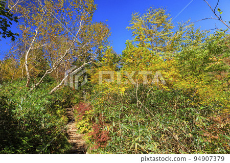 Tsugaike Nature Park in full bloom of autumn leaves 94907379