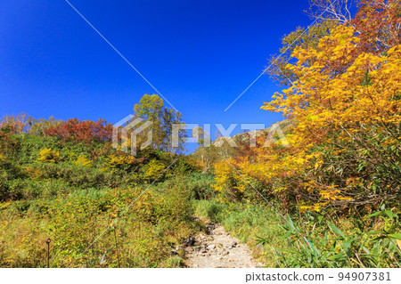 Tsugaike Nature Park in full bloom of autumn leaves Tsugaike Nature Park in full bloom of autumn leaves 94907381