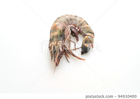 fresh tiger prawn or shrimp 94910400