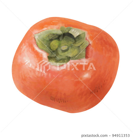 Illustration of a persimmon with a realistic and gentle touch_no shadow on the ground ver Illustration of a persimmon with a realistic and gentle touch_no shadow on the ground ver 94911353