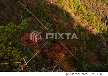塔基山秋葉 塔基山秋葉 94911616