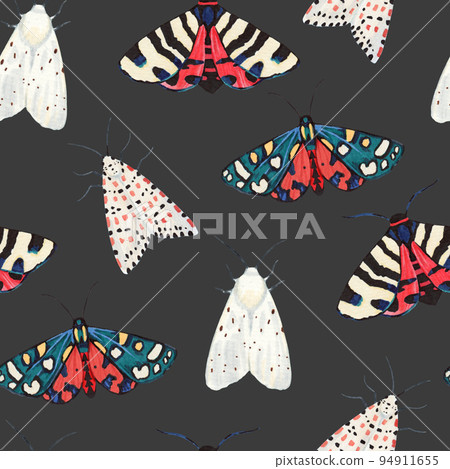 Seamless pattern with garden tiger moths, Arctiidae family. Watercolor illustration of beautiful night mots, detailed and isolated on white background Seamless pattern with garden tiger moths, Arctiidae family. Watercolor illustration of beautiful night mots, detailed and isolated on white background 94911655