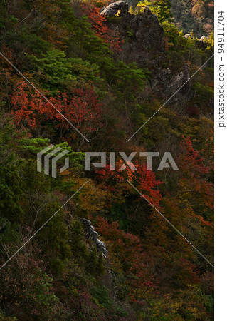 Autumn leaves of Taki mountain 94911704