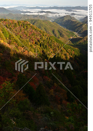 塔基山秋葉 塔基山秋葉 94911705