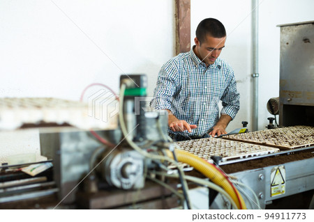Professional man adjusting machine automatic filling and seeding line for growing containerized seedlings of plants in greenhouse nursery 94911773