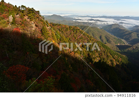 塔基山秋葉 塔基山秋葉 94911816