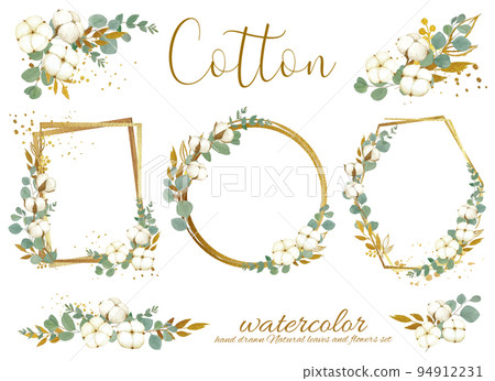 Fashionable white back frame illustration material set of gentle colored cotton flowers and eucalyptus leaves 94912231