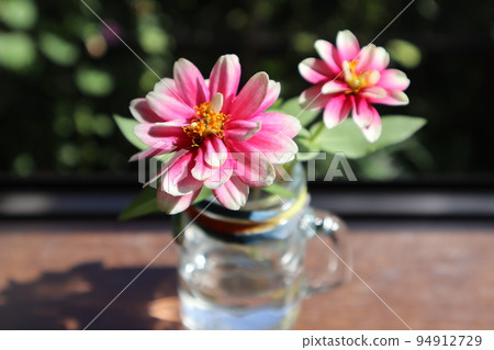 用百日草花裝飾一個空瓶子 用百日草花裝飾一個空瓶子 94912729