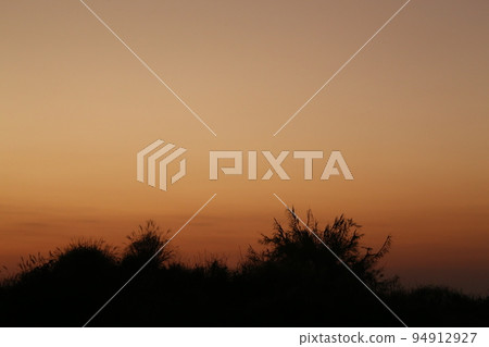 西伊豆町的夕陽 西伊豆町的夕陽 94912927