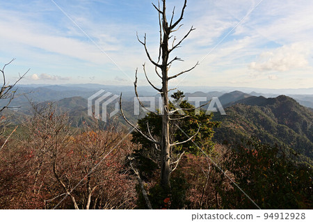 塔基山秋葉 塔基山秋葉 94912928
