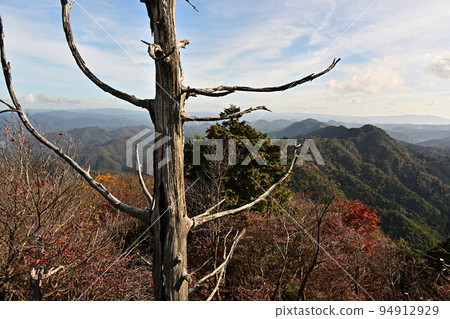 塔基山秋葉 94912929