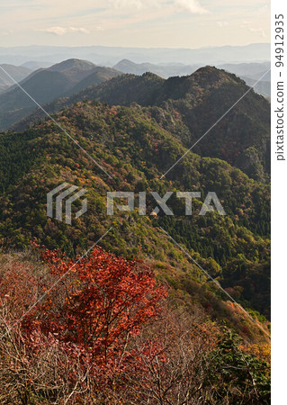 塔基山秋葉 塔基山秋葉 94912935