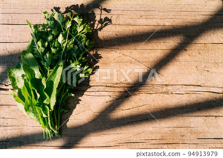 Organic food, harvest. Fresh greens parsley sorrel leaves lie on a wooden table, bright sunlight Organic food, harvest. Fresh greens parsley sorrel leaves lie on a wooden table, bright sunlight 94913979