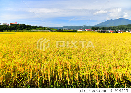 Around Sanmizu Elementary School, overlooking Mt. Iizuna / Mt. Iizuna (Iizuna Town, Nagano Prefecture) [2022.9] 94914335