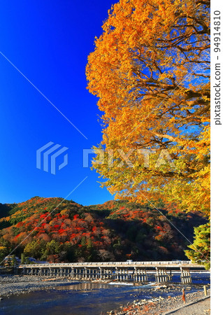 [Kyoto Prefecture] Arashiyama Togetsukyo in autumn colors 94914810